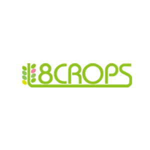 Square 8clops logo